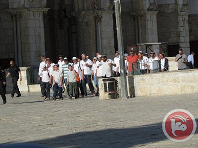 Multiplication des attaques de colons contre al-Aqsa