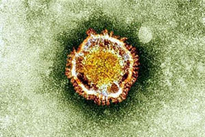 Quatre nouveaux cas de coronavirus détectés en Arabie Saoudite