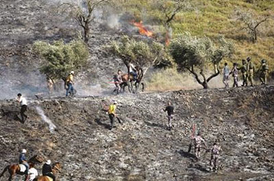 Des colons israéliens ont incendié 1.000 arbres à Naplouse