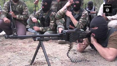 Les combattants saoudiens en Syrie… Des premières cellules à la mobilisation quasi générale