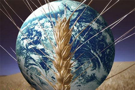 La sécurité alimentaire et le projet d'extermination totale La sécurité alimentaire et le projet d’extermination totale