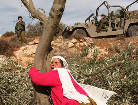 Journée de la terre… la Palestine est la première qibla au plein gré des arabes
