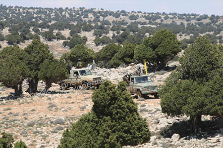 Les exploits du Hezbollah dans le Qalamoun effraient «Israël»
