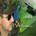 Raid en Syrie: 