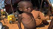 Le spectre de la famine globalisée hante le monde