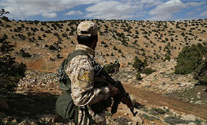 Visite au Qalamoune