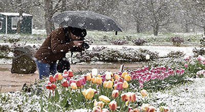 L’été sous la neige en Russie