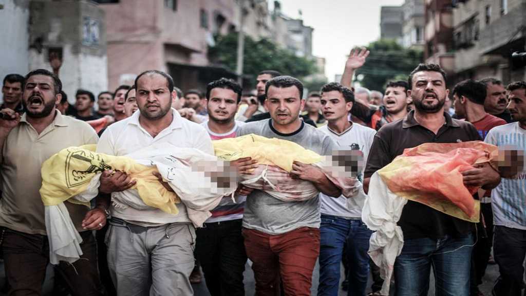 Syndicaliste belge: «Israël» tue des enfants palestiniens pour leurs organes
