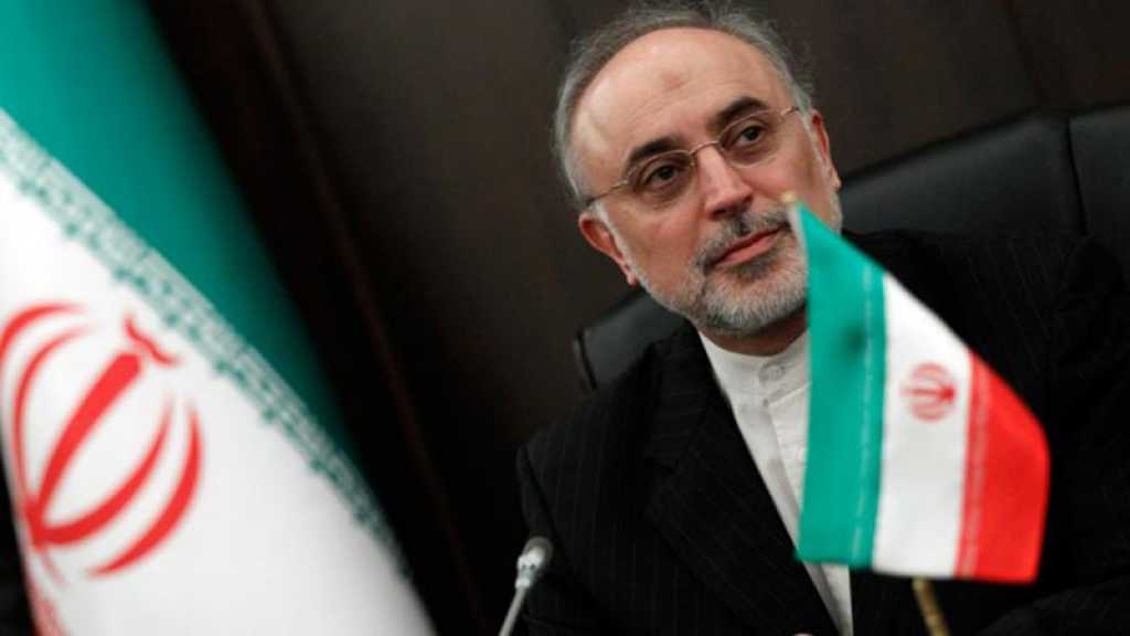 Un mécanisme européen devrait aider l’Iran à vendre son pétrole malgré les sanctions US