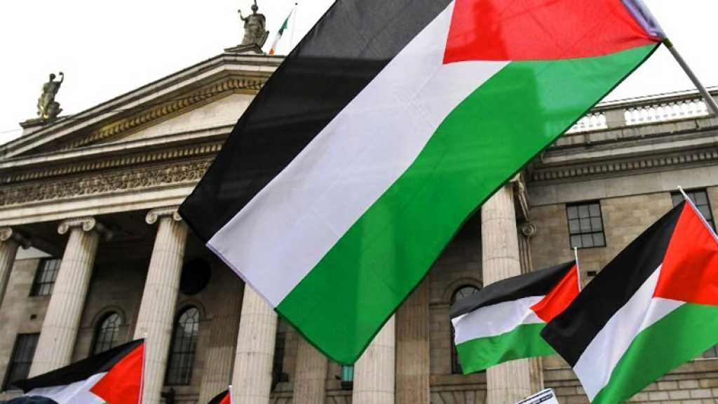 Irlande : le Sénat présente un projet de loi interdisant les produits des implantations de Cisjordanie occupée