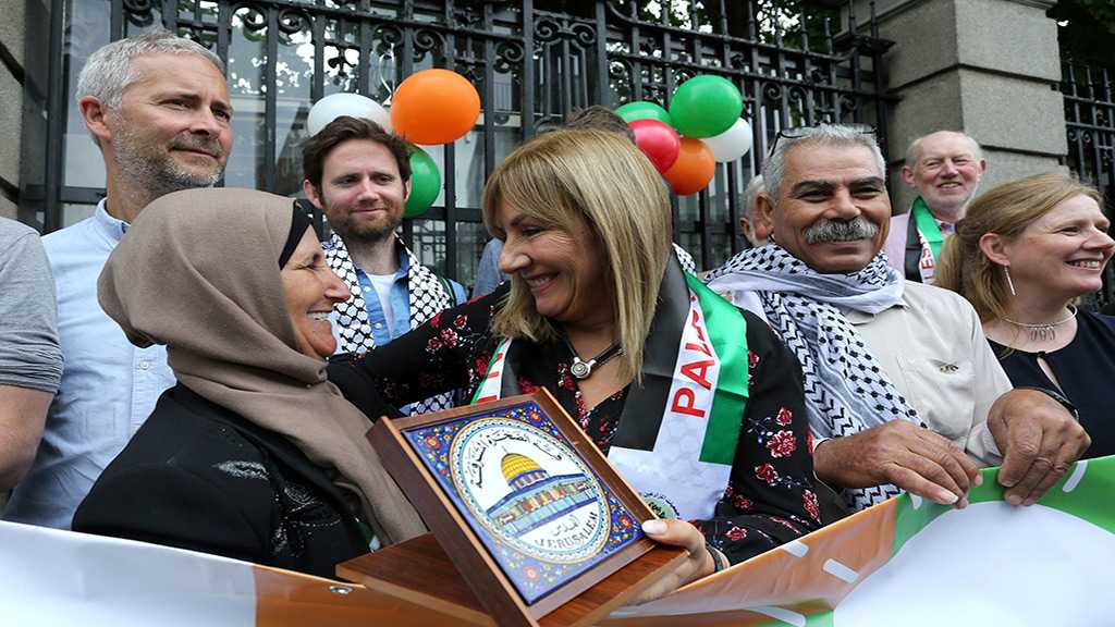 Irlande: le Sénat vote une loi anti-colonies