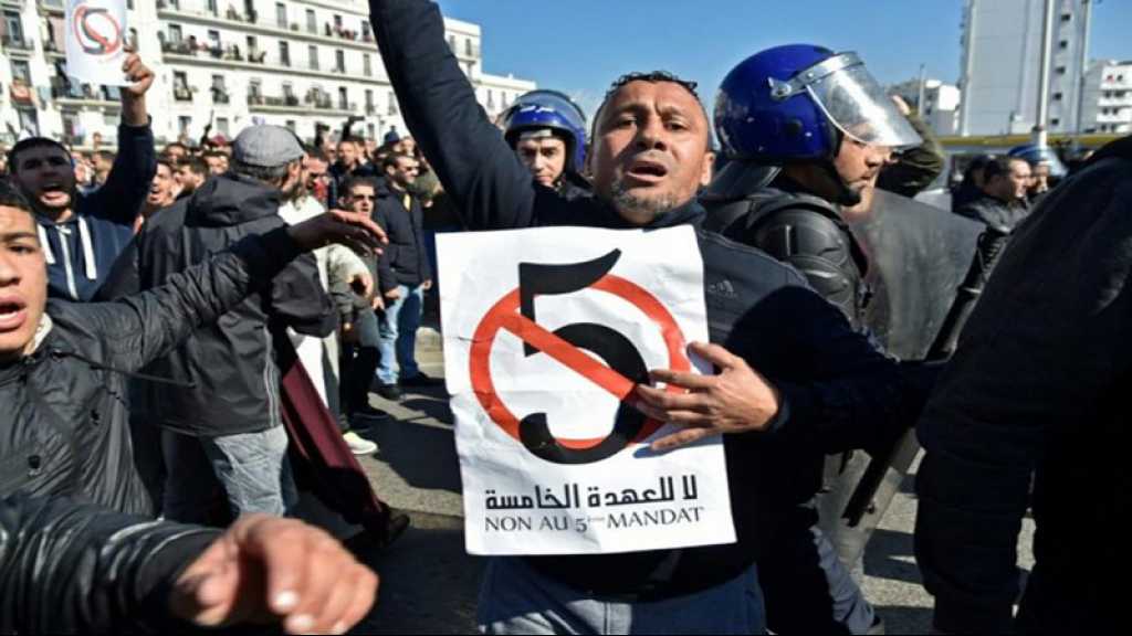 Marche anti-Bouteflika en Algérie: des ONG suggèrent une solution politique consensuelle