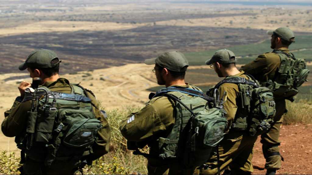 ONU: le Conseil des droits de l’homme dénonce la colonisation israélienne du Golan