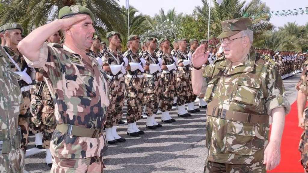 Algérie: «l’armée n’a pas d’autres choix que de pousser à l’élection présidentielle»