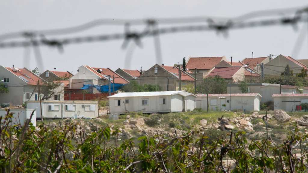 Par crainte des missiles de la Résistance, «Israël» plante des arbres à la frontière avec Gaza 
