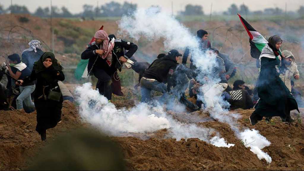 Gaza: affrontements à la frontière, un martyr et 56 blessés palestiniens