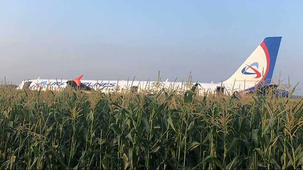 Russie: un Airbus atterrit d’urgence dans un champ de maïs, 23 blessés