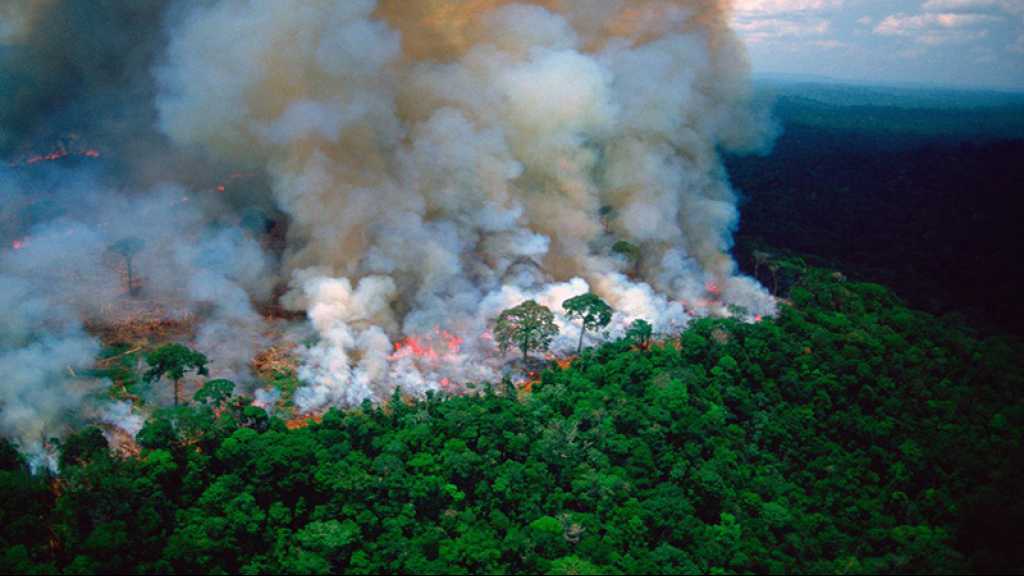 Feux en Amazonie: une «crise internationale», l’ONU «profondément préoccupé»