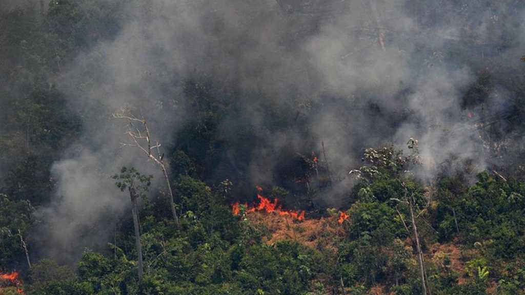 Incendies en Amazonie : Bolsonaro, sous pression, autorise l’envoi de l’armée