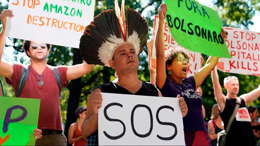 Amazonie: des manifestations dans le monde entier pour sauver «les poumons en feu» de la planète