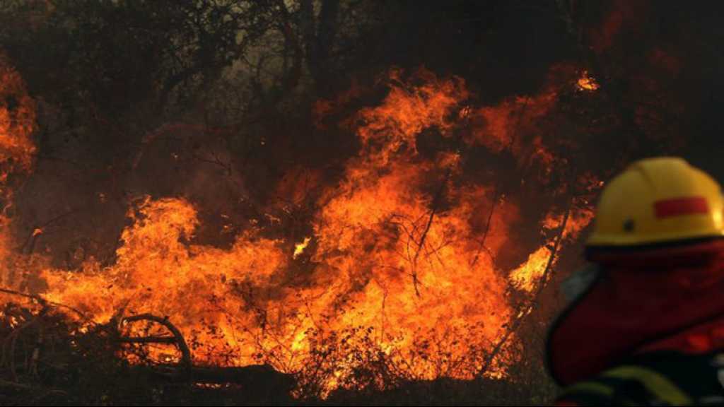 Le secrétaire général de l’ONU veut un sommet sur l’Amazonie