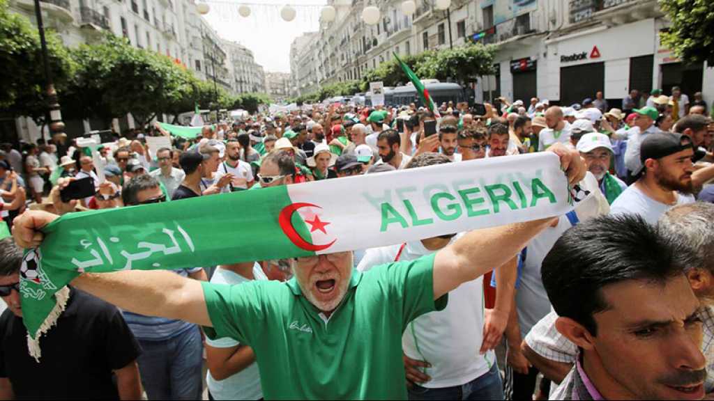 Algérie: une instance prône une élection «dans les plus brefs délais»