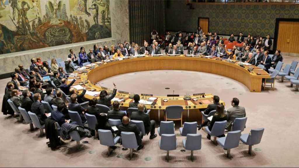 Idleb: veto russo-chinois à l’ONU à une résolution imposant un cessez-le-feu
