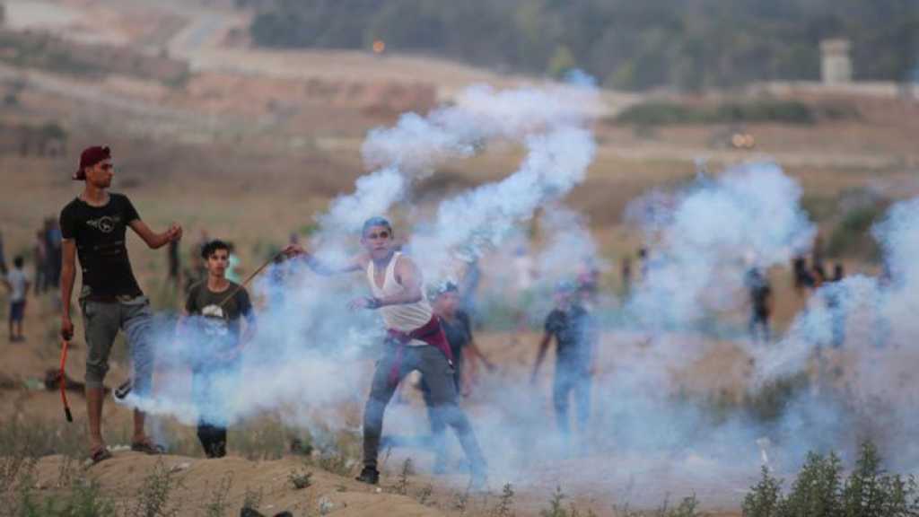Gaza: environ 3 700 manifestants à la frontière, 49 blessés