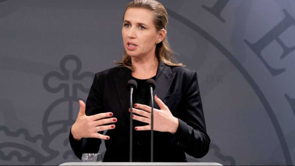 Syrie: Copenhague veut déchoir les terroristes de la nationalité danoise
