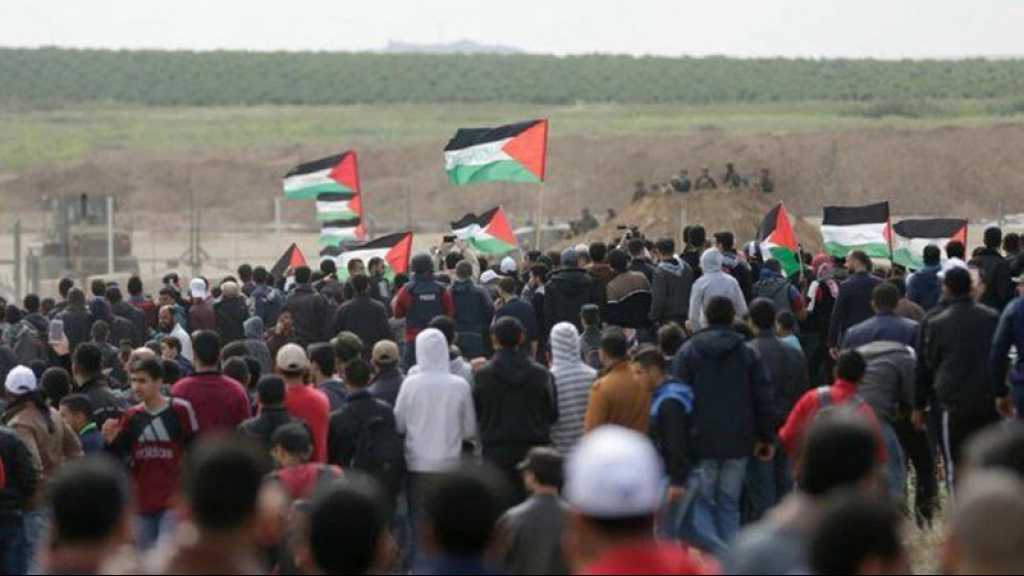 Gaza: les manifestations anti-israéliennes suspendues trois mois
