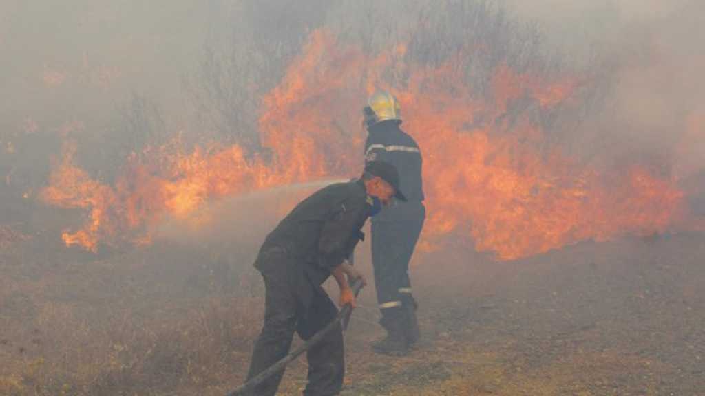 Incendies en Algérie: plus de 8.000 hectares brûlés, le président ordonne une enquête
