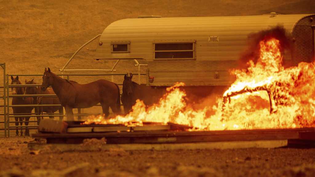 Des incendies ravagent la Californie, des milliers de personnes fuient