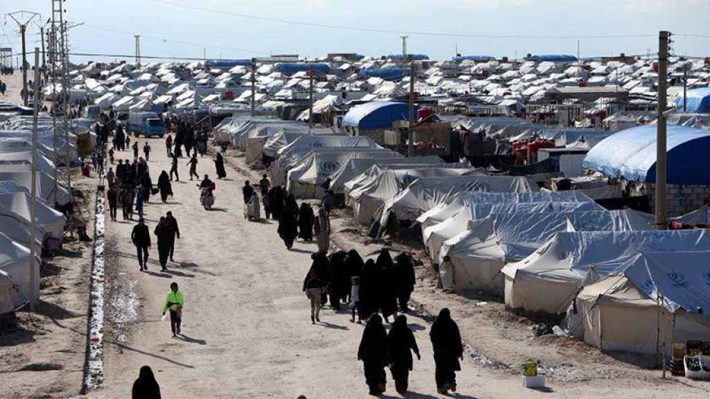 Douze «meurtres» dans le camp d’Al-Hol en Syrie, l’ONU s’alarme