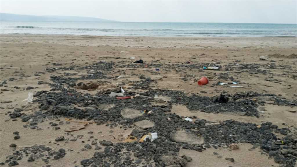 La réserve côtière de Tyr souillée par la marée noire israélienne