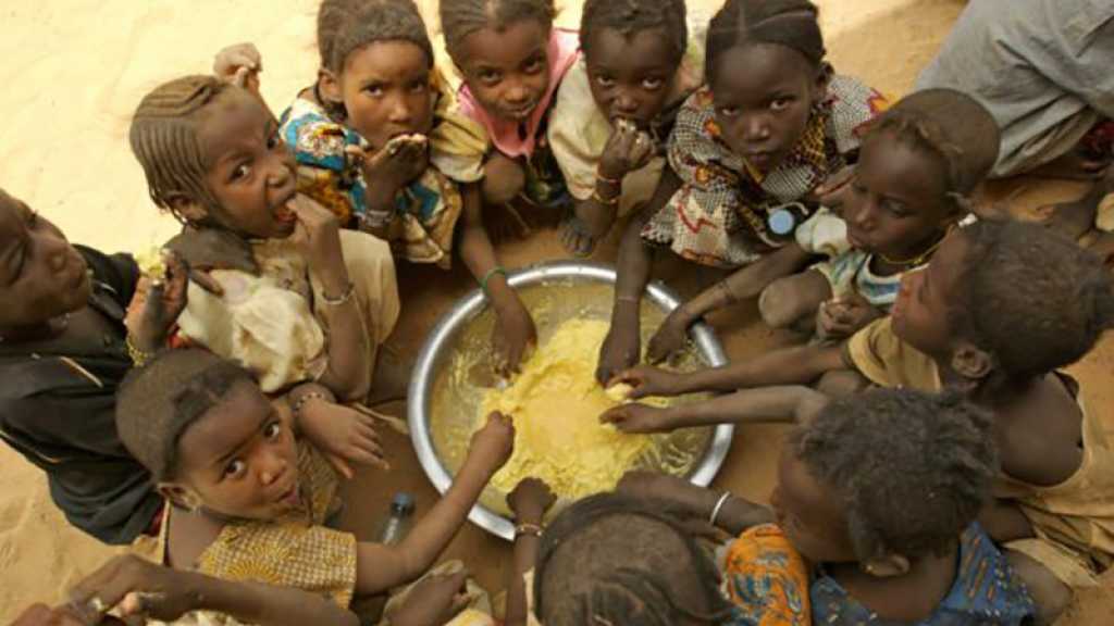 Afrique: 17 milliards de dollars pour améliorer la sécurité alimentaire