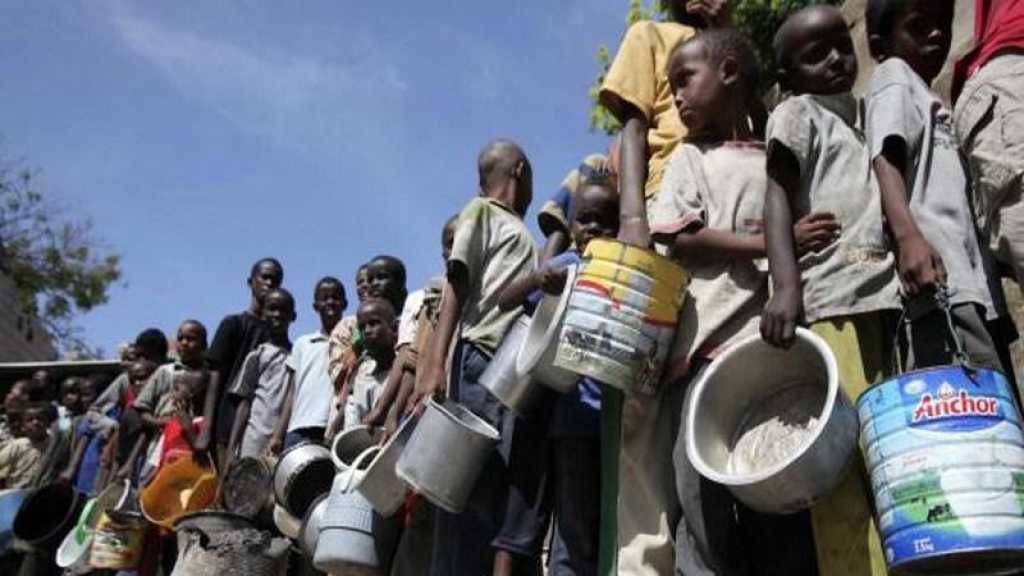 Un demi-milliard d’Africains sous la menace de l’insécurité alimentaire
