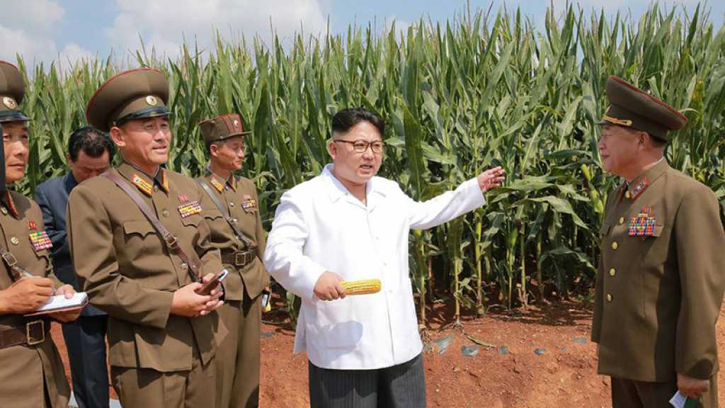 Corée du Nord: Kim Jong Un reconnait une «situation alimentaire tendue»