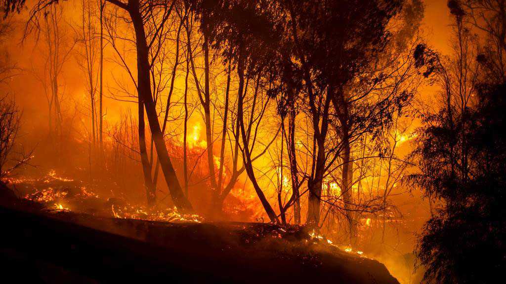 Le pire incendie à Chypre maîtrisé après deux jours de lutte contre les flammes