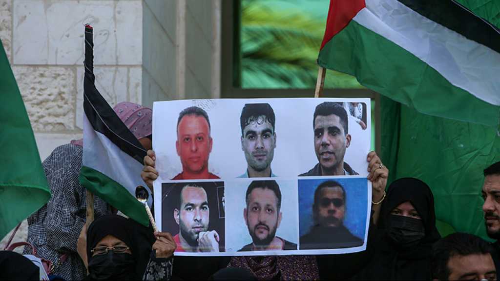 Appel à la protection des 6 prisonniers palestiniens évadés et ré-arrêtés par «Israël»