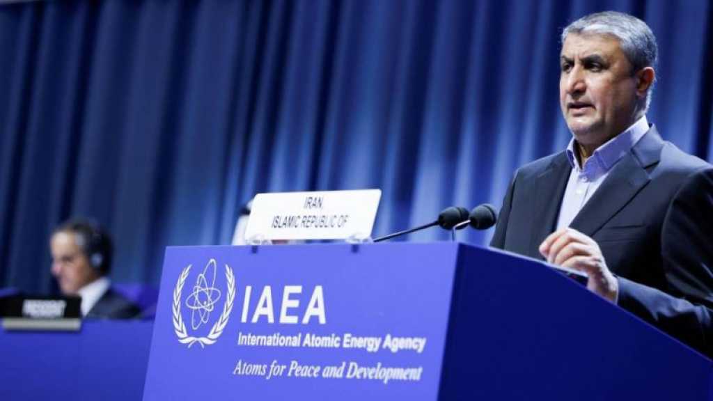 Iran: le vice-président Eslami à Moscou pour discuter de la coopération nucléaire