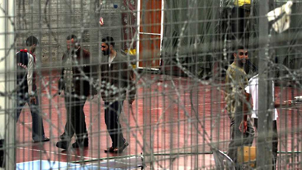Palestine: 250 prisonniers du Jihad islamique entament une grève de la faim