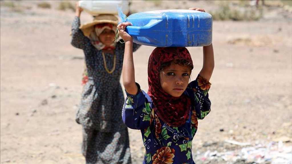 75% des enfants yéménites souffrent de malnutrition chronique, selon l’OMS