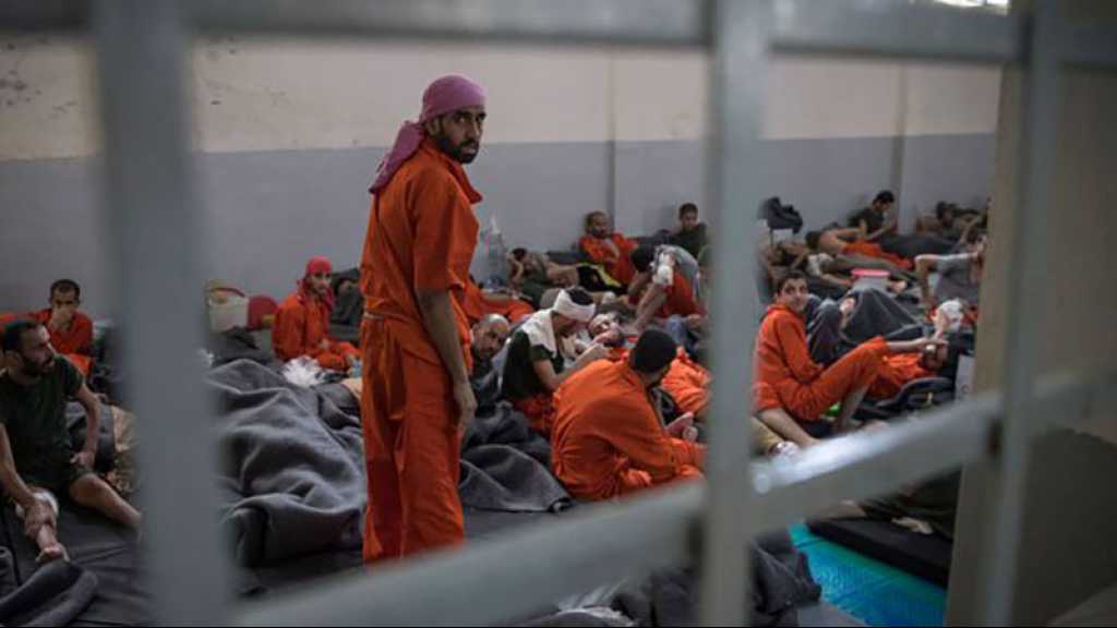 Syrie: «Daech» attaque une grande prison et libère des terroristes