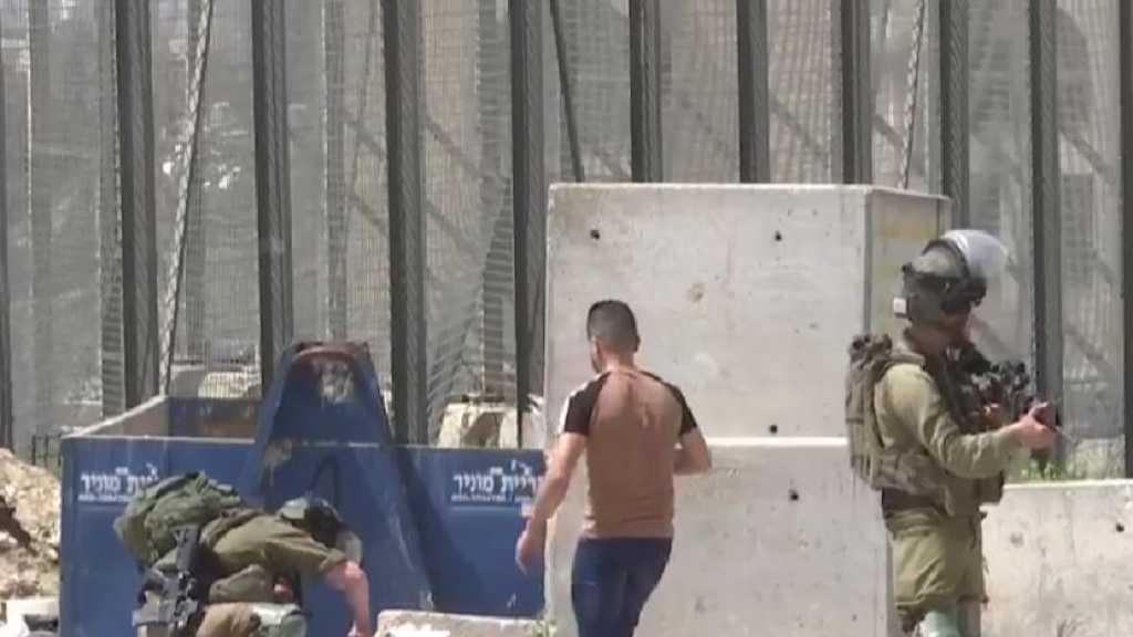 Deux Palestiniennes tombent en martyre en Cisjordanie occupée