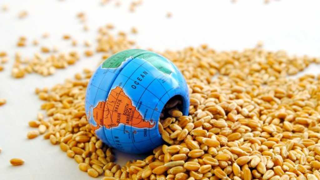 L’insécurité alimentaire aiguë a très fortement augmenté dans le monde en 2021, constate l’ONU