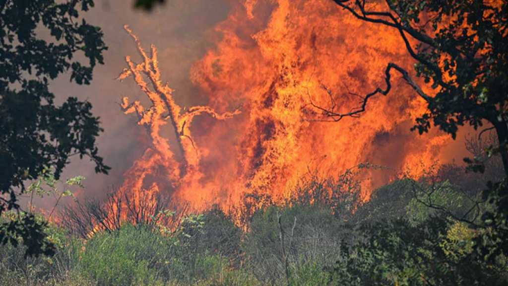 L’incendie dans un camp militaire du sud de la France maîtrisé, 1800 hectares brûlés