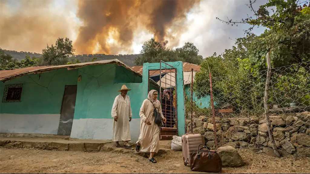 Violents feux de forêt dans le nord du Maroc, 500 familles évacuées