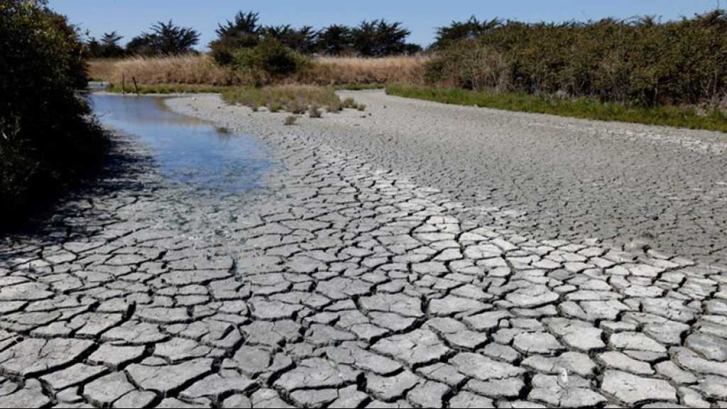 Sécheresse en France : inquiétudes d’une pénurie de lait et pour la production agricole