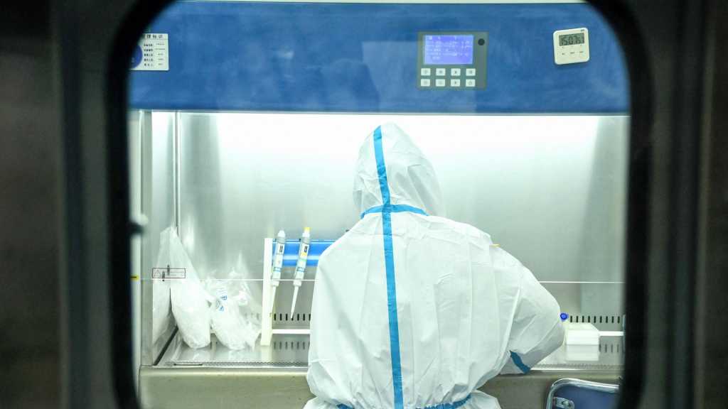 Un nouveau virus, Langya, identifié en Chine, des dizaines de cas