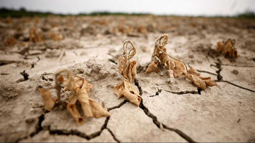 Sécheresse: Washington réduit les quotas d’eau pour certains États et le Mexique